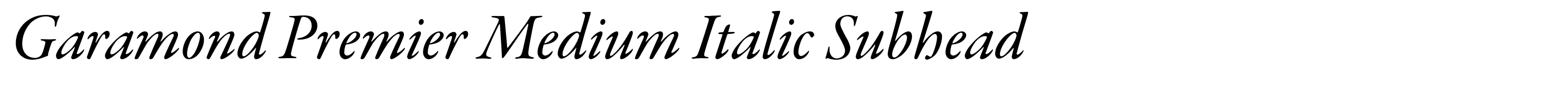 Garamond Premier Medium Italic Subhead
